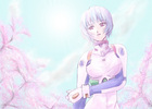 ayanami_sakura.jpg